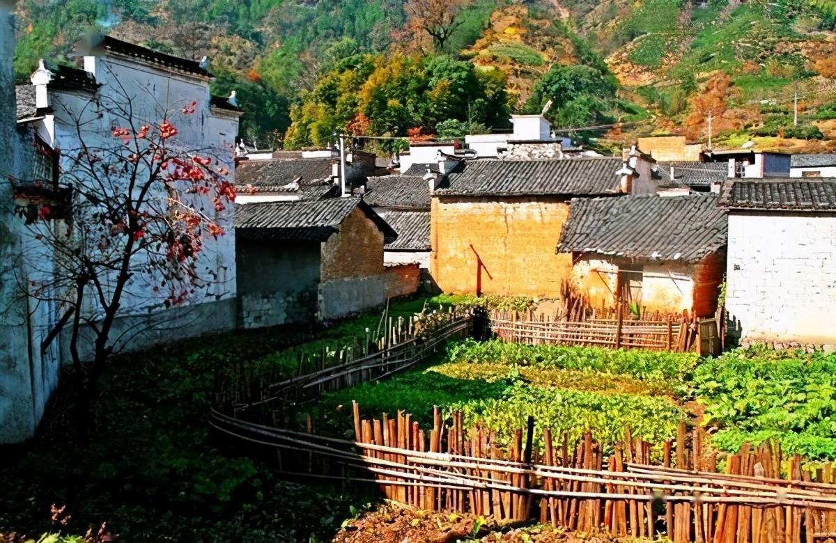 乡村庭院之美一庭一风景一院一世界