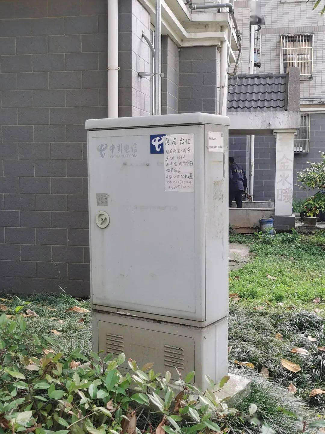 来听竹社区,打卡"网红"主题彩绘电箱_小区