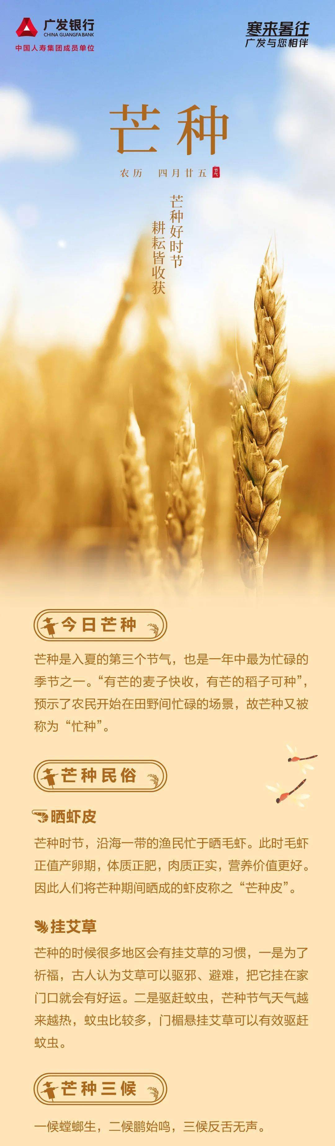 芒种| 芒种好时节,耕耘皆收获