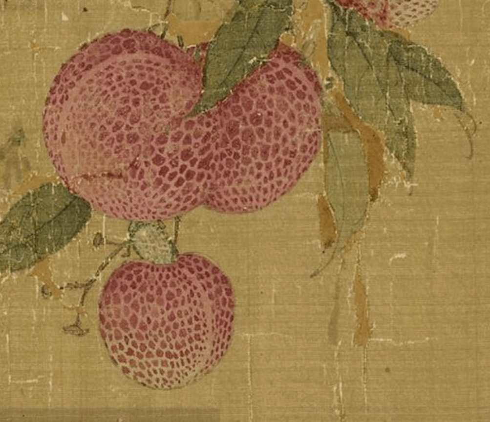 高清国画,看看宋徽宗笔下的荔枝图