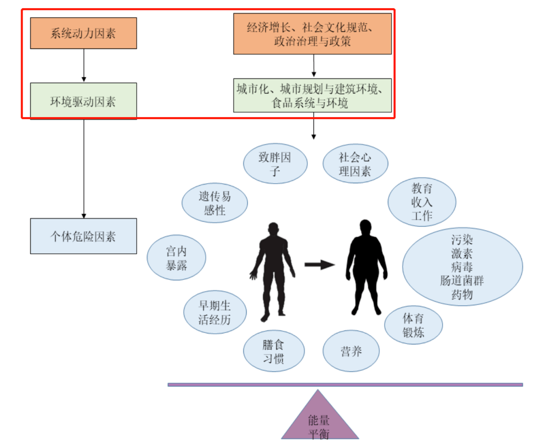 人口过剩的原因_从这个国家 引进 的女友靠谱吗(3)