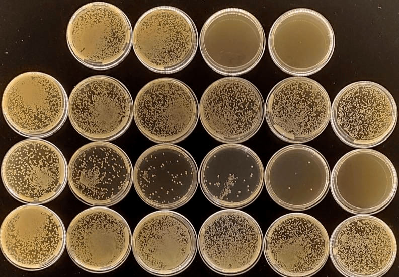 聚维酮碘戊二醛苯扎溴铵复合碘溶液这些水产常用消毒剂全池泼洒给药真