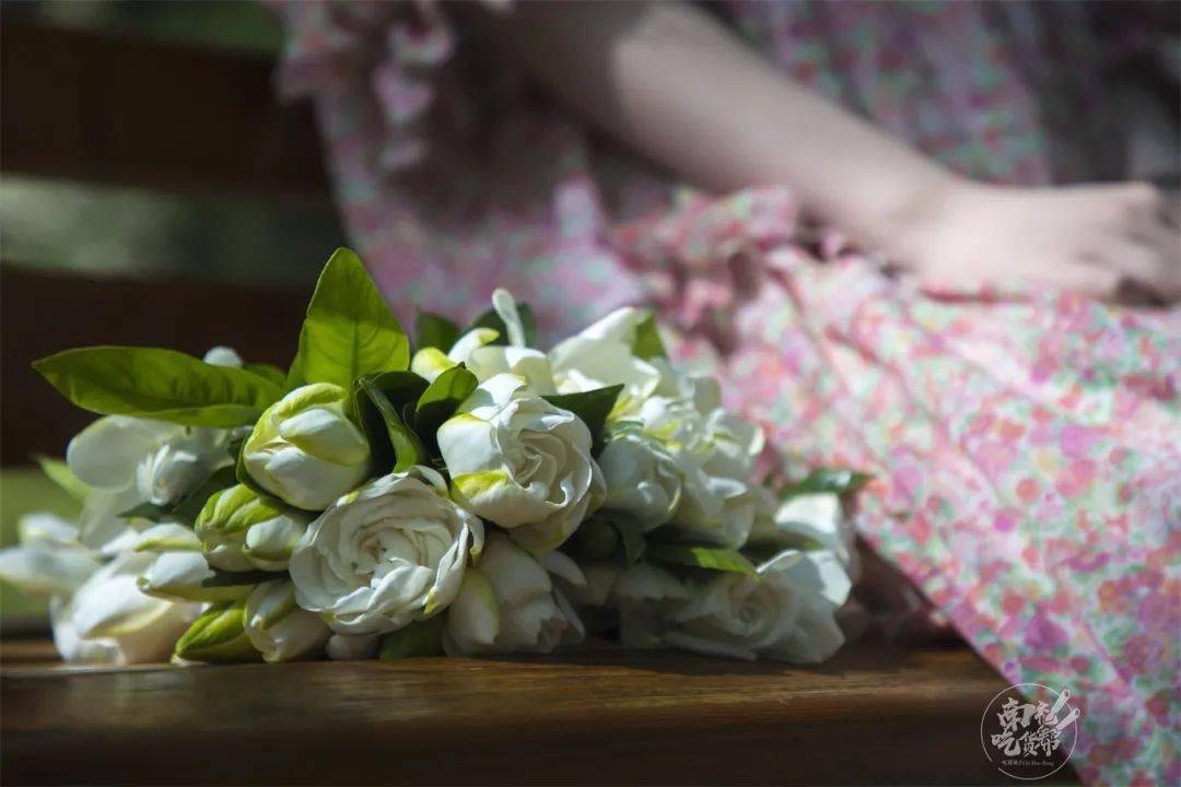 初夏栀子花开整个空气都甜了