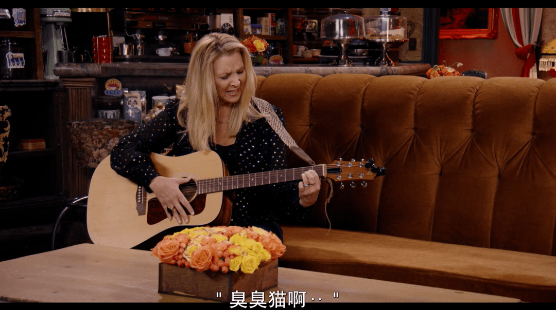 heckles 菲比弹吉他演唱国际名曲,中央公园咖啡馆招牌曲目《臭臭猫》