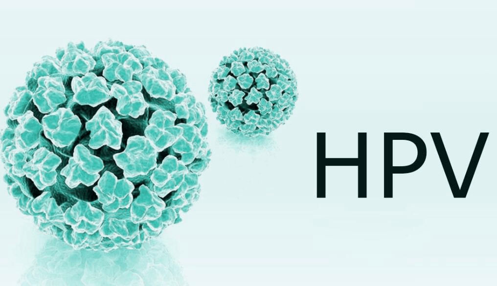 男人怎么查hpv16病毒感染 ba8d8c89d367438a9f6c8828e66583b1.png