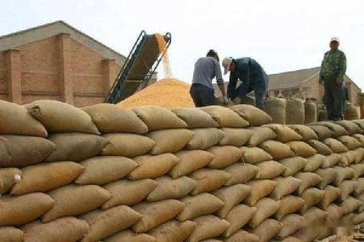 农村"交公粮"的6个场景,还有多少人记得?特别是最后一个