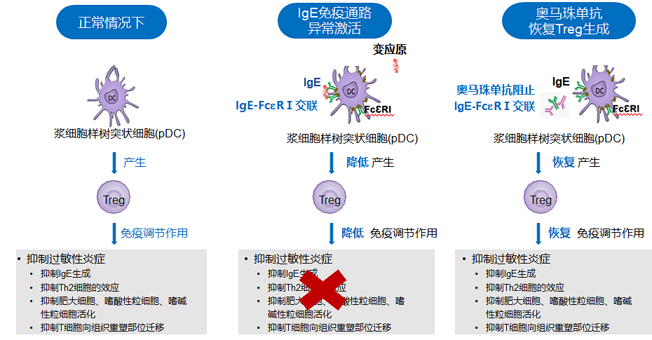 誘導初始t細胞分化產生treg,treg可抑制th2增殖,th2型細胞因子分泌