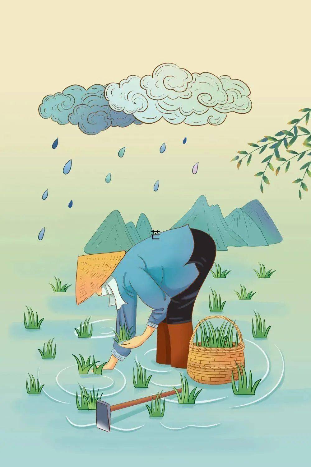 芒种| 趁时而种,忙有所得_安苗