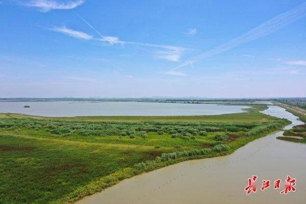 7日,记者在蔡甸区沉湖湿地拍下碧水蓝天镶嵌着的葱郁绿野.