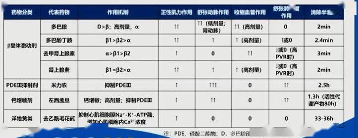 与传统的正性肌力药物不同,新型正性肌力药物钙增敏剂左西孟旦作用