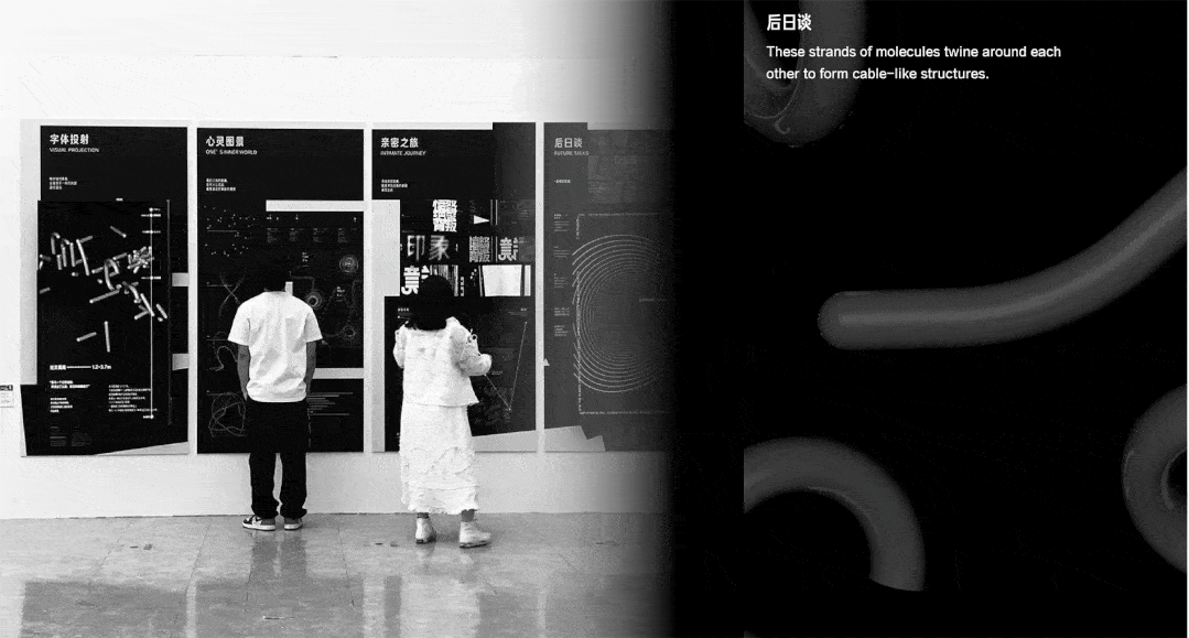 文章配图-86