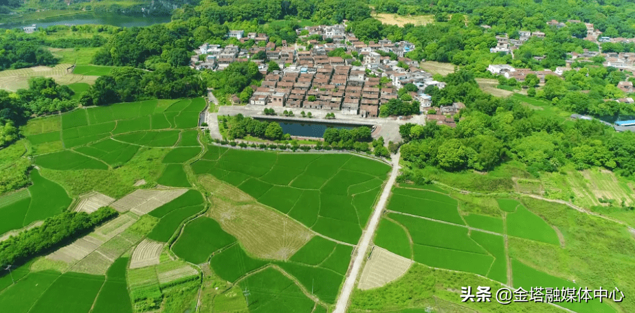 化州市柑村GDP_茂名化州市笪桥镇柑村 重塑红色基因图谱 助村民走上致富路(3)