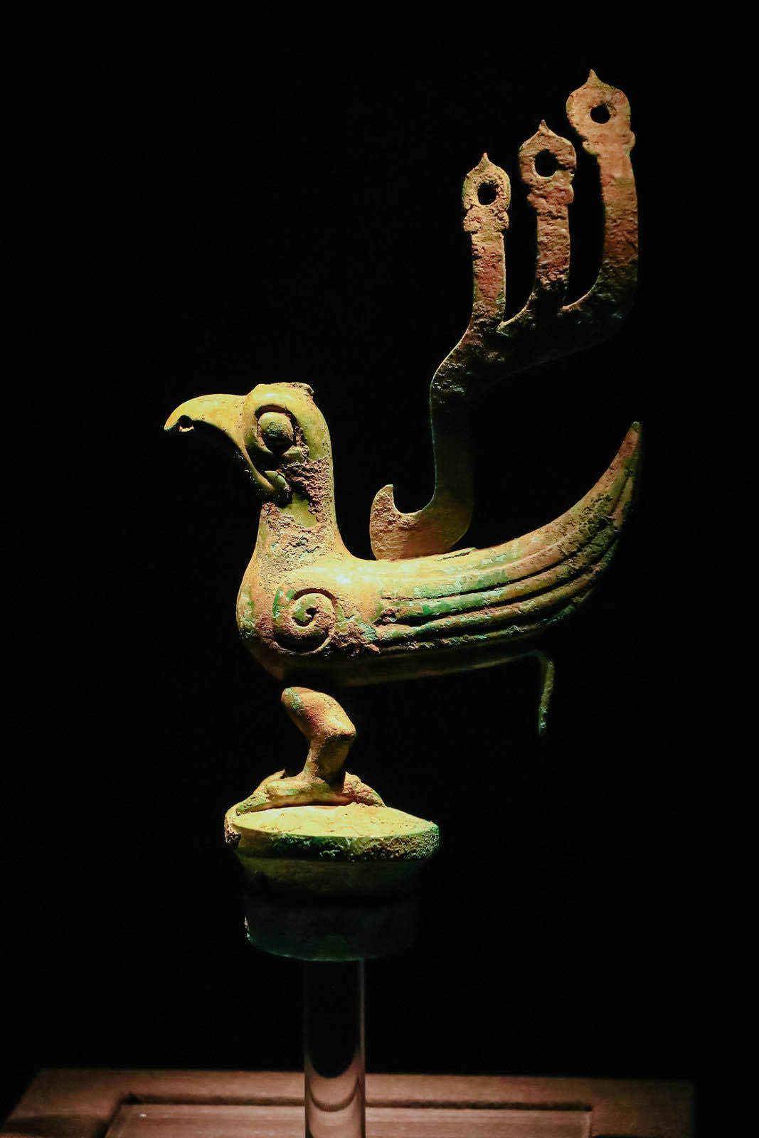 大餐!"古蜀之光"三星堆·金沙遗址出土文物大展在奉贤博物馆开幕