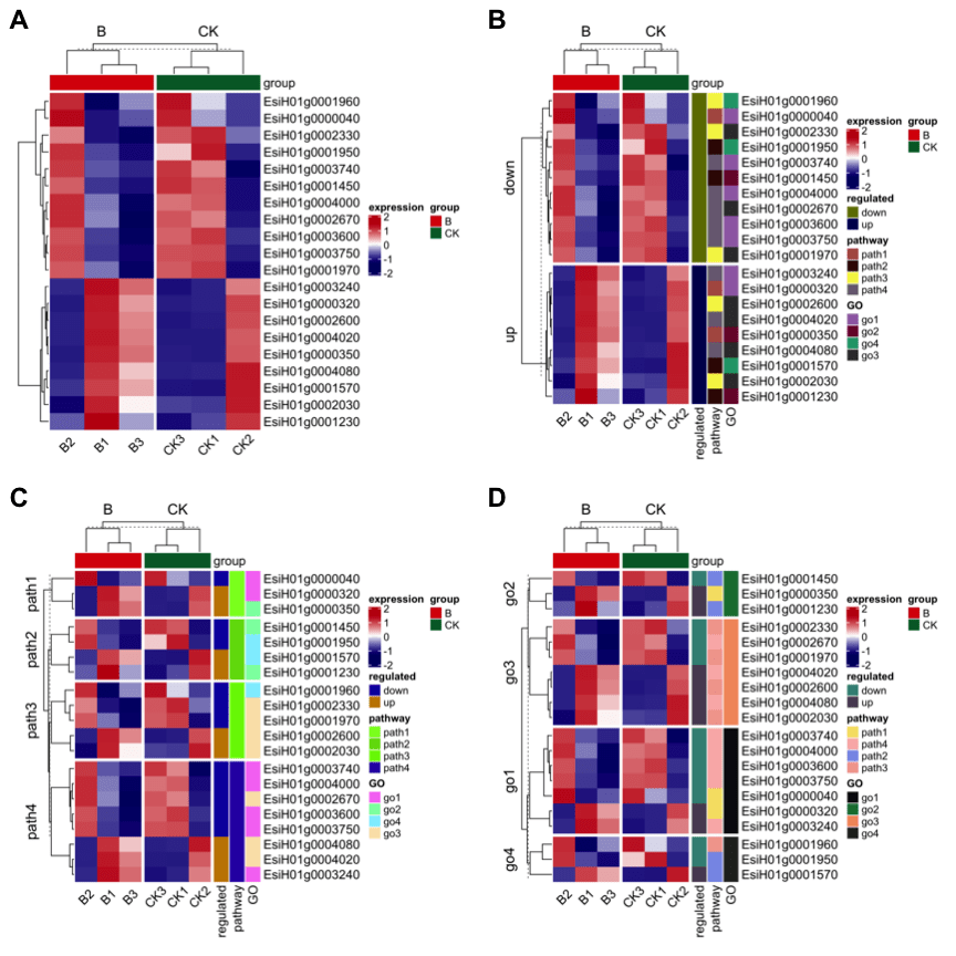 complexheatmap-exp