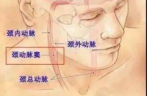 夏天最坑娃的宝宝用品,家里有的赶紧扔掉!
