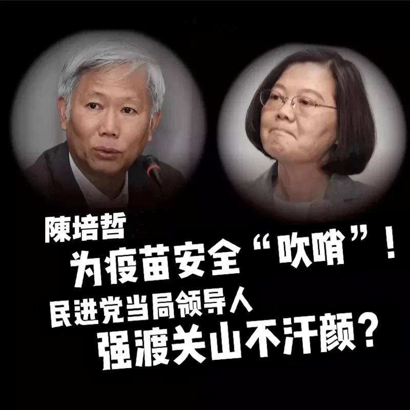 绿到出汁 却遭民进党网军霸凌 陈培哲