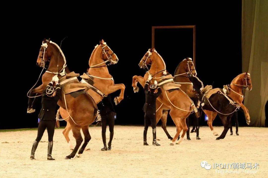欧洲四大古典马术学校背后的那些历史