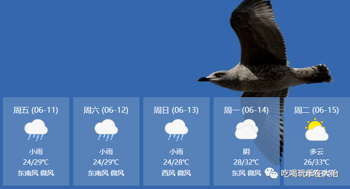 大冶人注意!端午出行必看!_天气