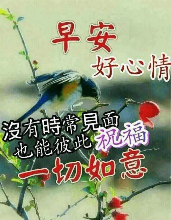 8e6cc55531594a02a2c1561e9f7ab9b1.png