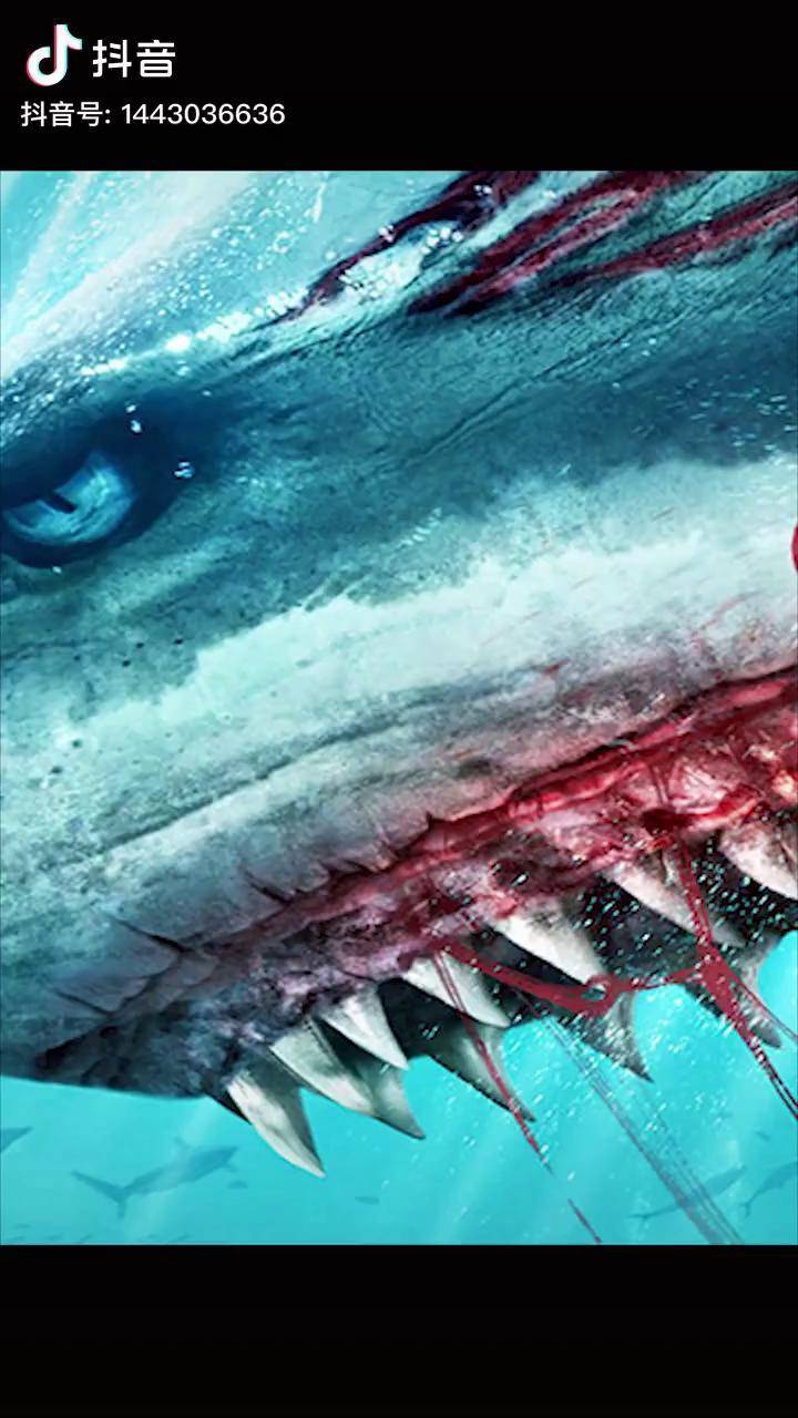 720_1280竖版 竖屏