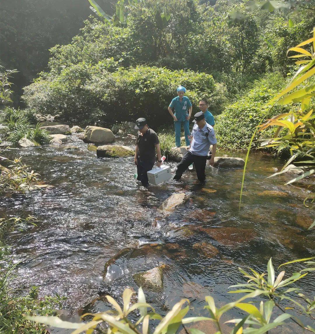 梧州古凤村的少人口_梧州狮寨镇狮寨村(2)