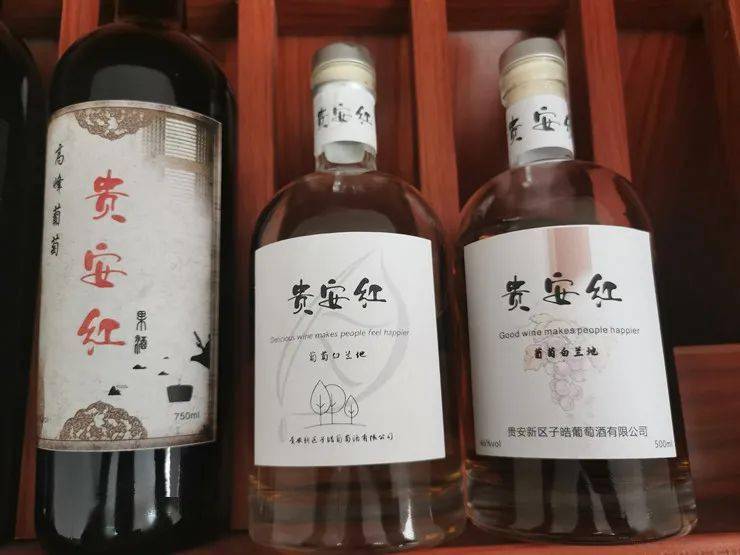 贵安新区 能人回乡成为乡村振兴生力军 张超