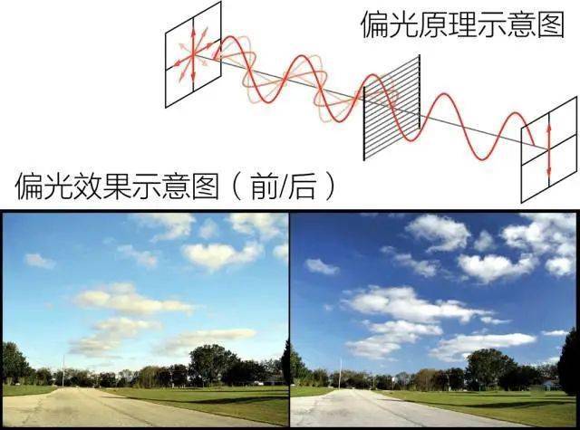 100元与1000元的墨镜有什么区别?_偏光镜