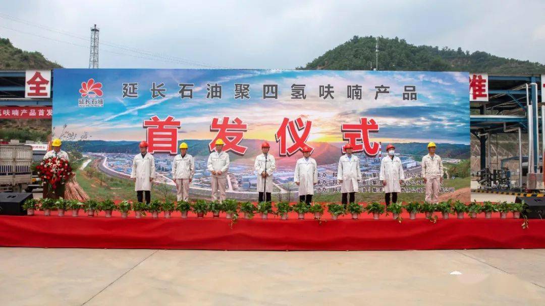 延长县委副书记,县长曹林虎,县委副书记张明,炼化公司总经理李军及