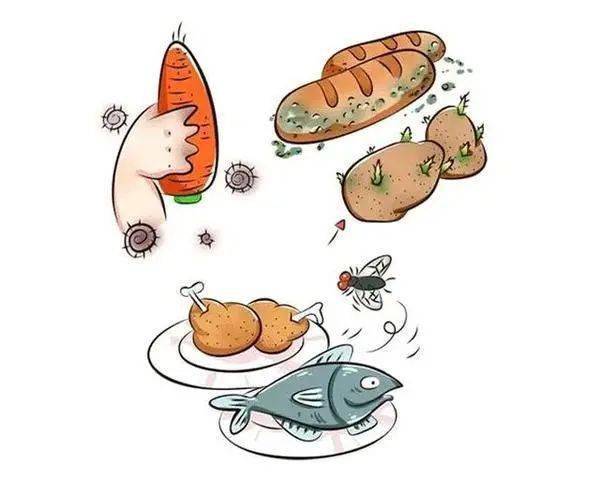 【食品安全宣传周】食品安全知识科普手册_食物