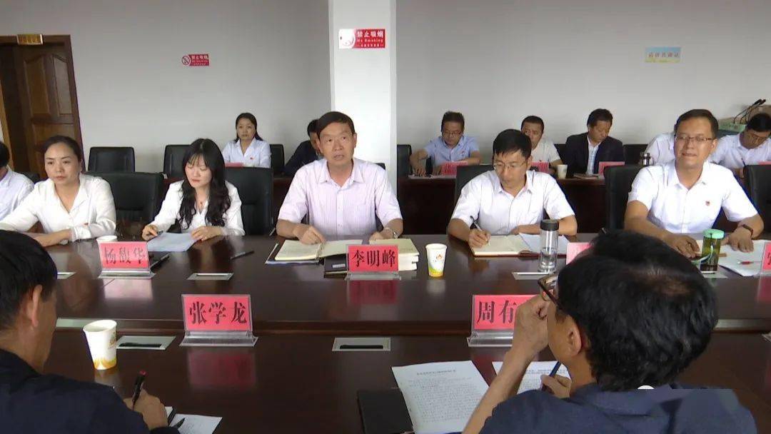 县委书记,县委党史学习教育领导小组组长李明峰汇报了我县党史学习