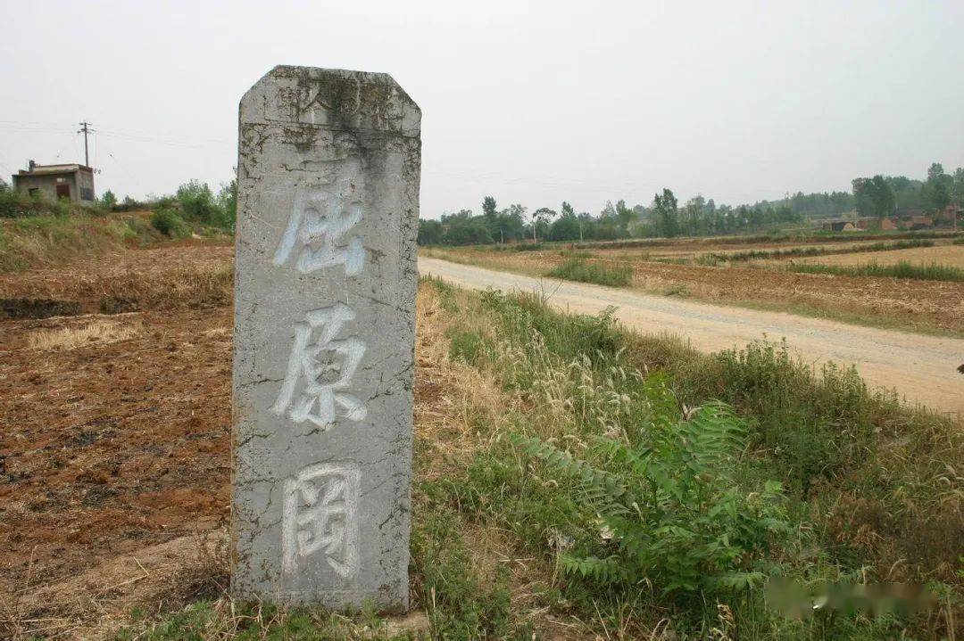 的内乡县,南连淅川县,西界陕西省的商南县,北邻河南省的卢氏县和嵩县