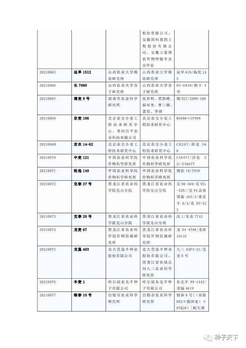 陕玉501审定公告图片