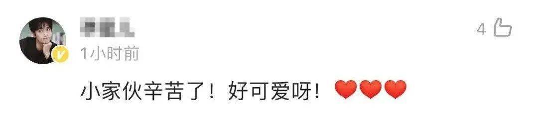 上自|祝融号在火星上自拍还有彩蛋