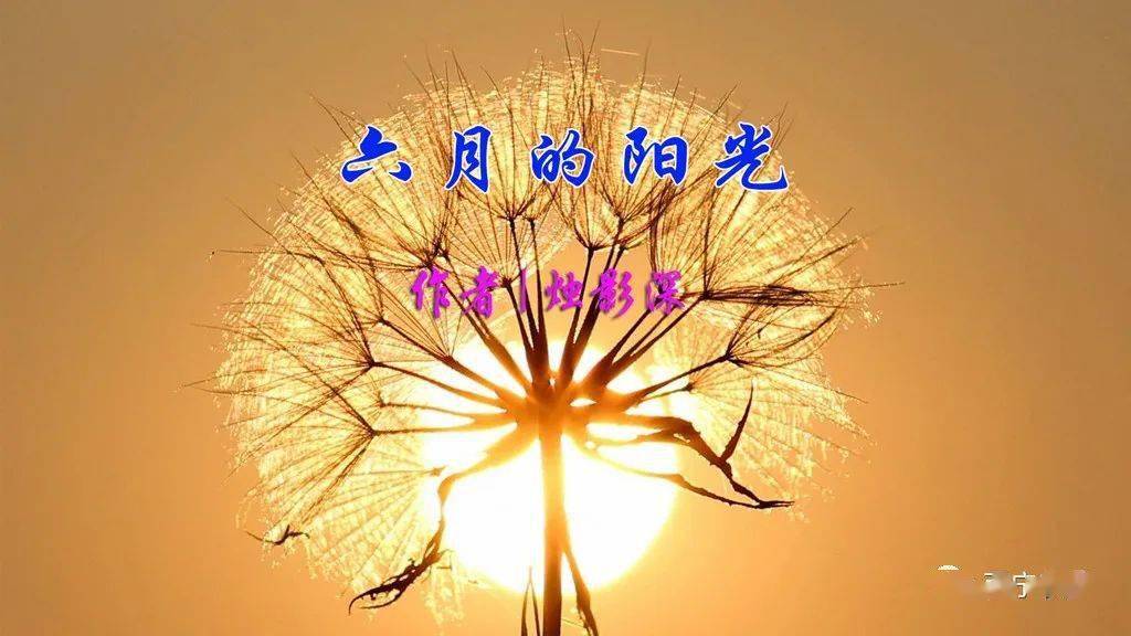 烛影深六月的阳光