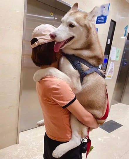 一脸傲娇的表情看得出来男主在家里的地位了吧哈哈哈哈哈哈