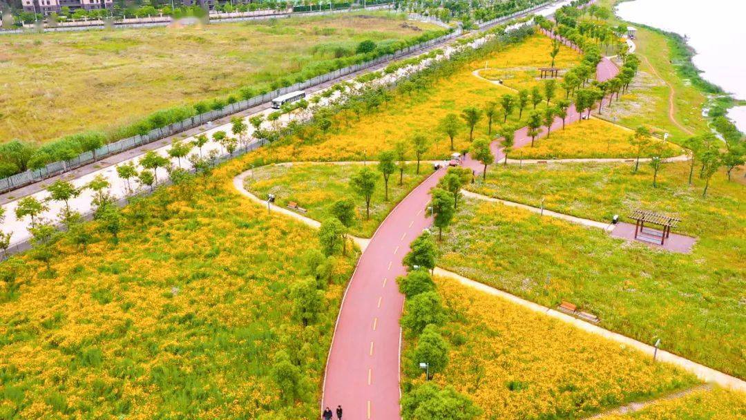 学党史做游戏包粽子后官湖绿道热热闹闹迎端午