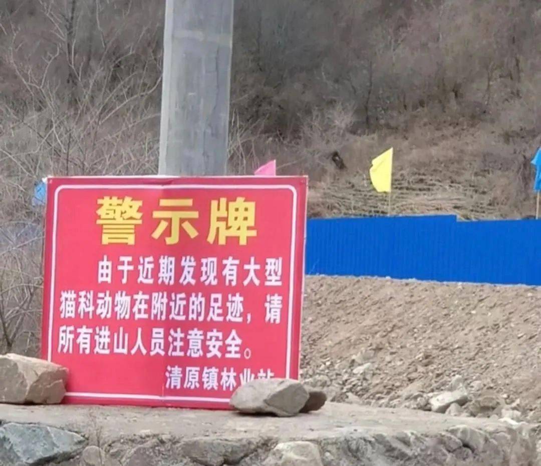 据了解,新宾满族自治县榆树镇,木奇镇,下夹河镇等多地出现虎啸,并发现