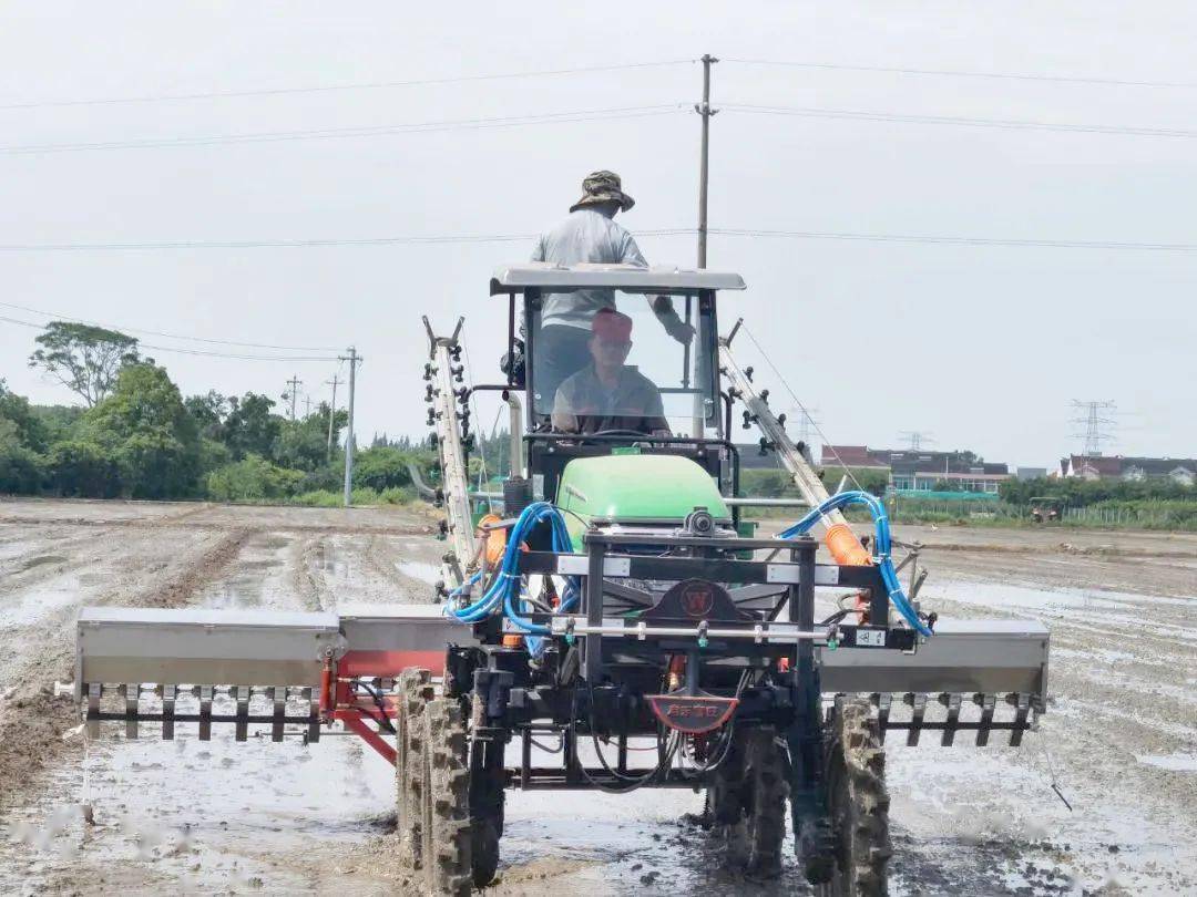 一天播种200亩这项水稻直播技术有点牛