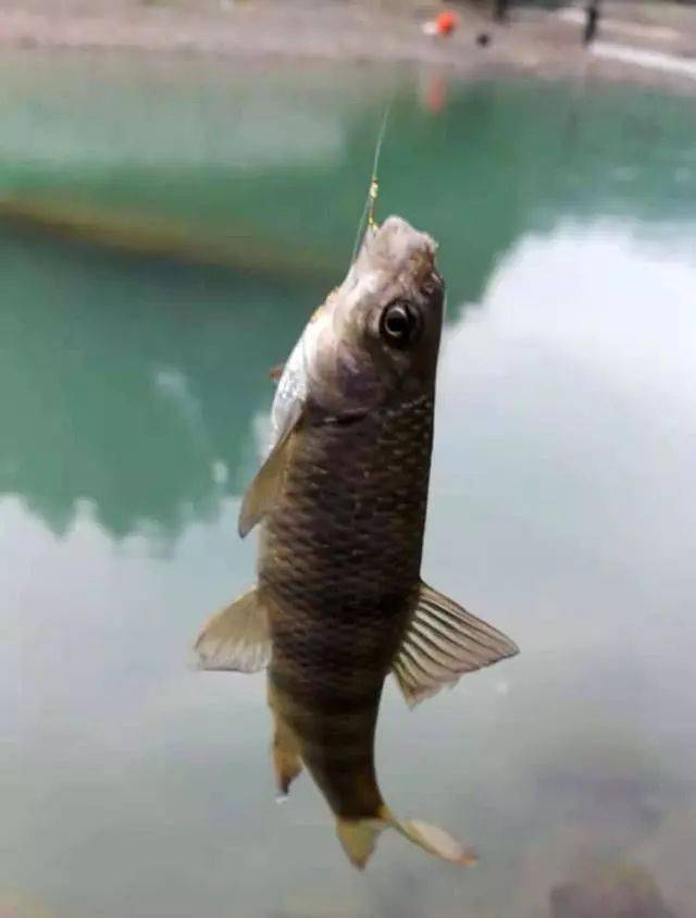 c02ea006f7554e3ea77a9d9043f89e25.jpeg