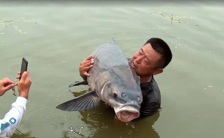 为什么游钓中国李大毛钓的鱼都那么大?