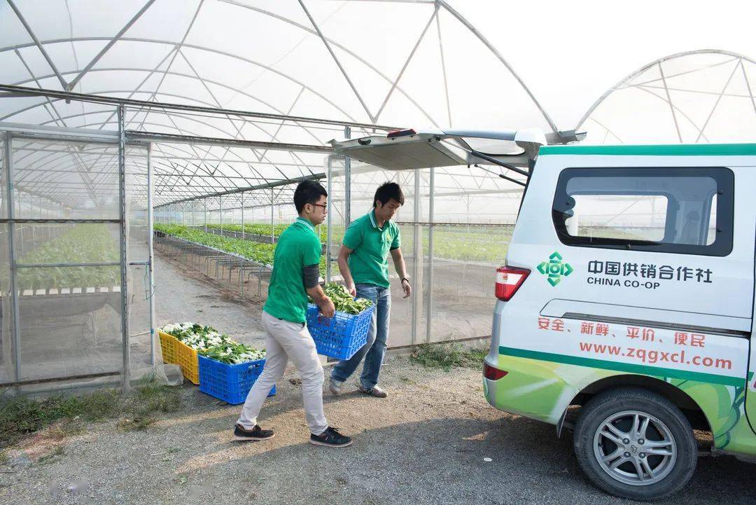 农产品电商平台建设方案_农产品电商平台的优势与劣势_十大农产品电商平台