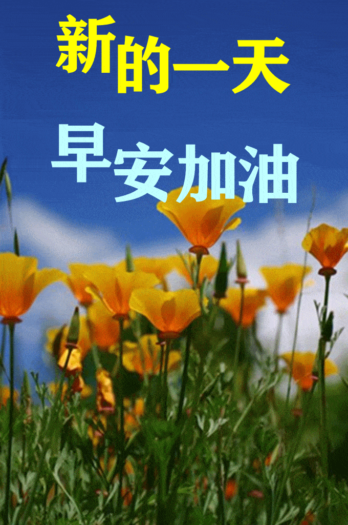 680_1024竖版 竖屏gif 动态图 动图