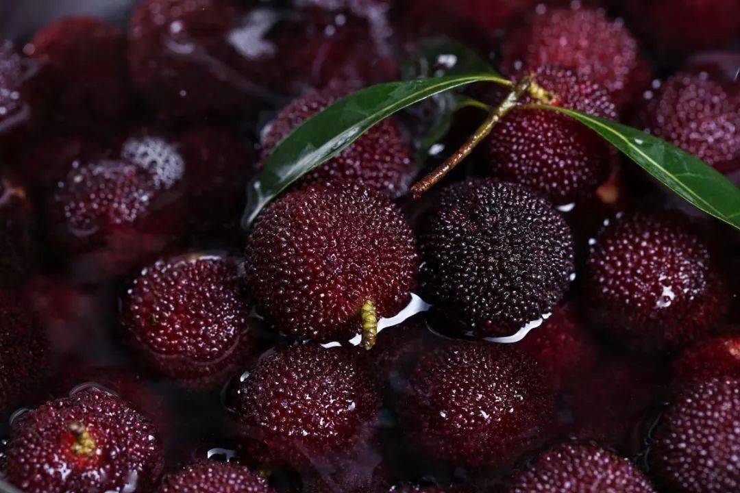 杨梅上市!医生提醒:别再这样吃了