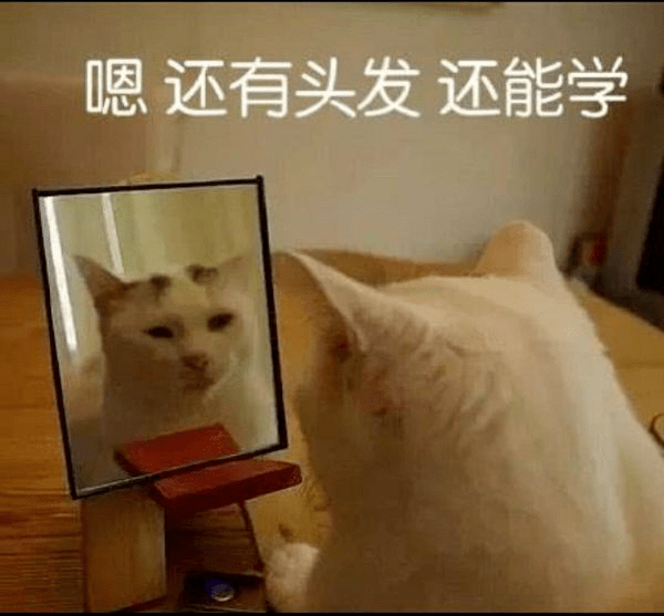 5a59e999637e4346bf7a657894bb6eca.png