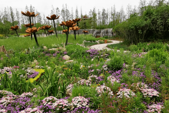 探園把草原搬到崇明花博會這個展園很綠色