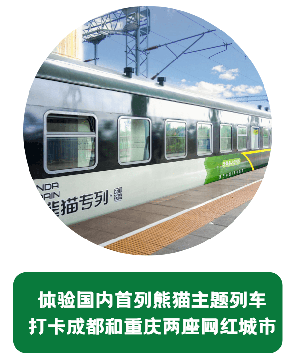 熊猫列车古蜀文化线 | 研学三星堆,领略"川菜之魂",走进"高铁梦工厂"