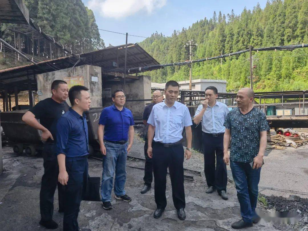 6月16日,平坝区委副书记,区长王金源率领区直相关部门到乐平镇就岩上