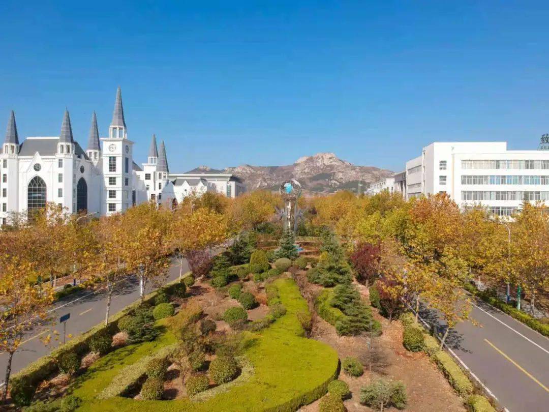 听听外事的声音你好我是山东外事职业大学