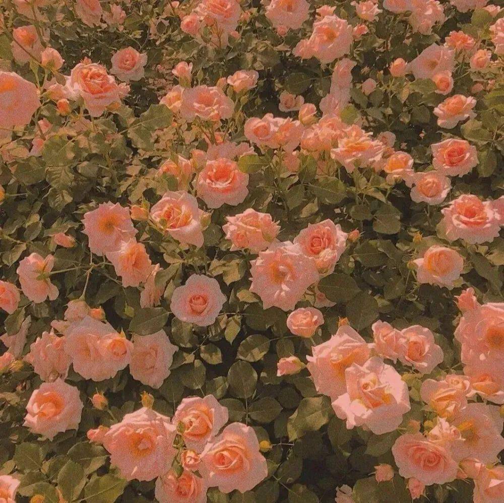 背景丨一组好看的朋友圈背景图