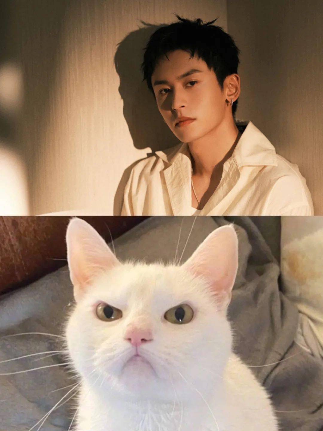 世上老公千千万,唯有老婆猫猫张哲瀚!